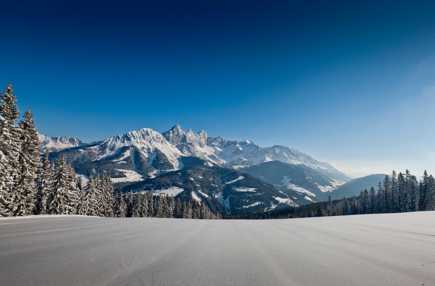 © Bergbahnen Filzmoos GmbH