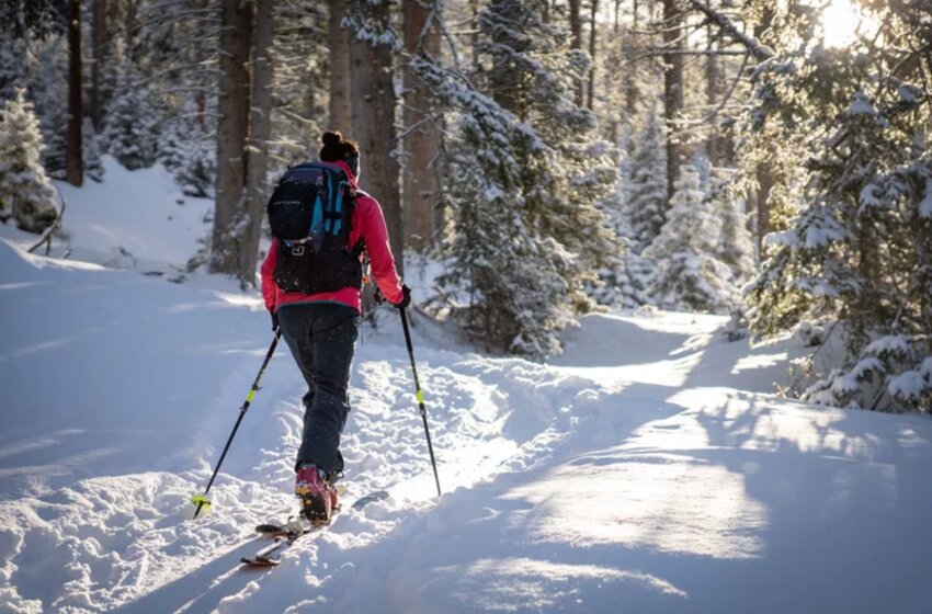 Female ski tourer with backpack and poles hikes through snowy forest at Graukogel in sunlight | © Gasteiner Bergbahnen AG