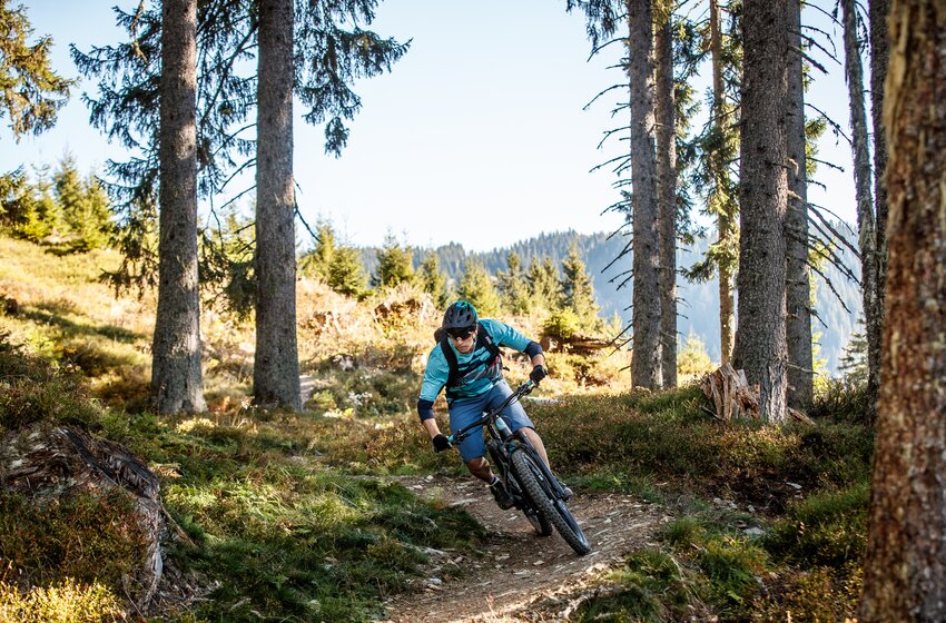Mountain biker in blue outfit riding a narrow forest trail through alpine scenery with sunlight filtering through trees | © Hochkönig Bergbahnen GmbH