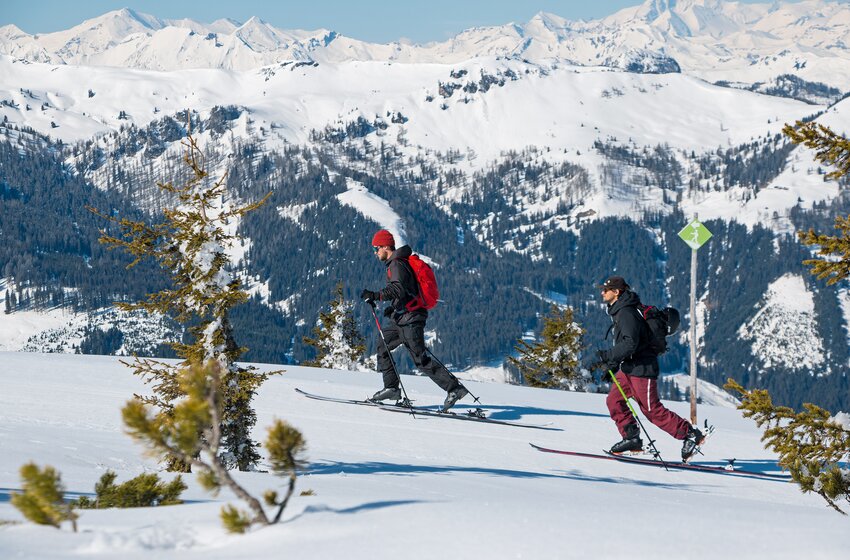 Zwei Personen mit Tourenski steigen bei Sonnenschein eine beschilderte Route am Shuttleberg hinauf | © SHUTTLEBERG GmbH & Co KG