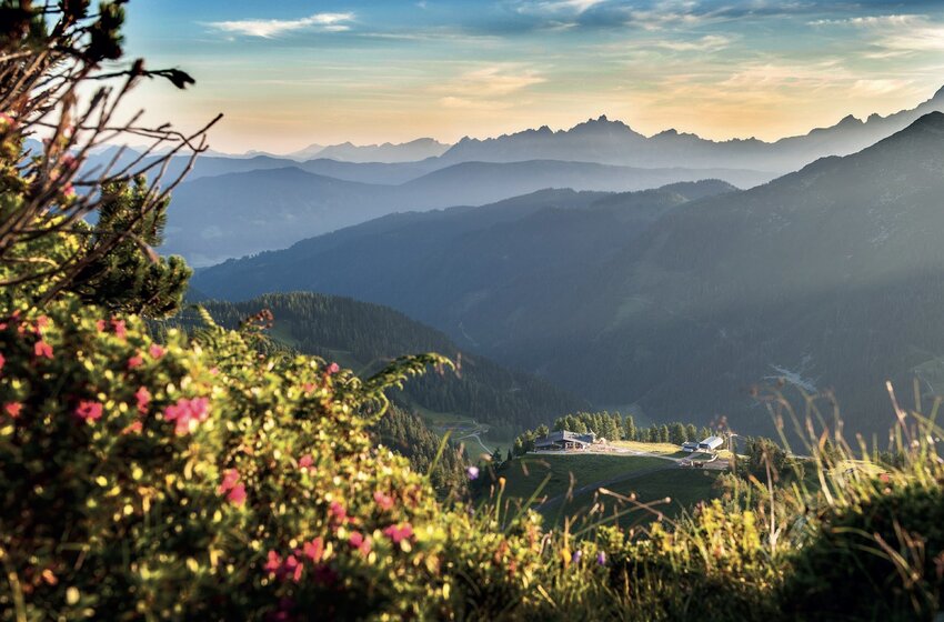 Blooming alpine meadow in front with mountain hut and layered ridges in soft morning light | © Zauchensee Liftgesellschaft Benedikt Scheffer GmbH