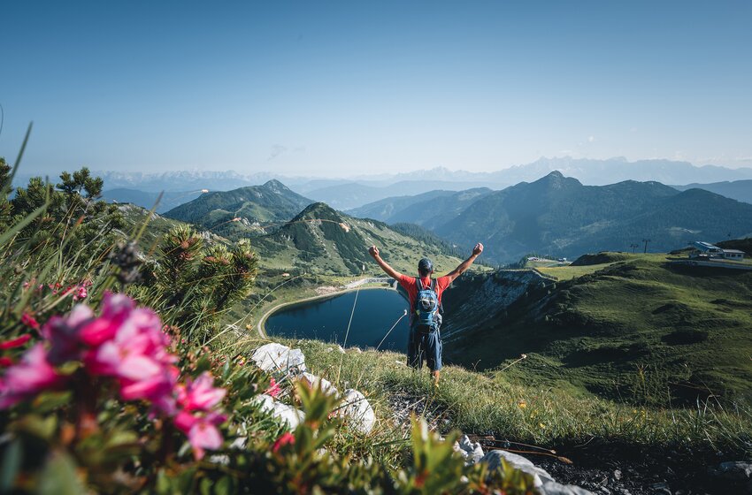 Ein Wanderer mit Rucksack steht mit erhobenen Armen über einem Bergsee vor Alpenpanorama und blühenden Alpenrosen. | © Zauchensee Liftgesellschaft Benedikt Scheffer GmbH